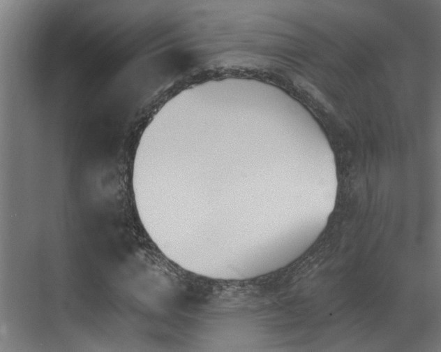 X0000071350824200606231202