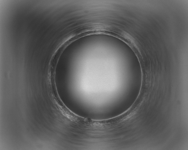 X0000071350827200606231202