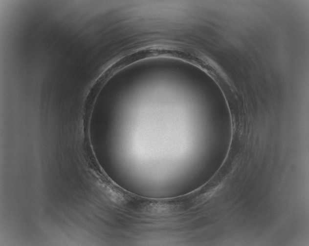 X0000071350829200606231202