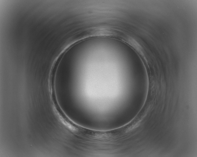 X0000071350843200606231202