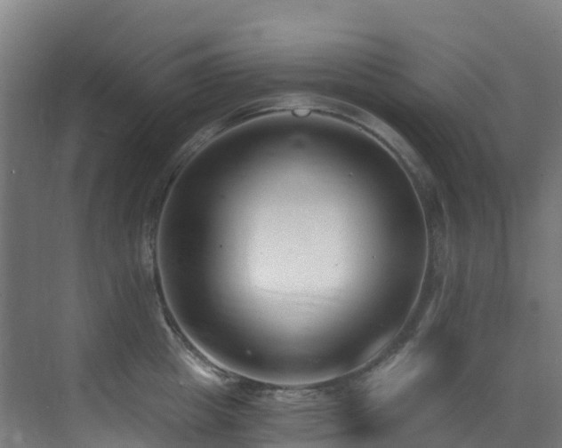 X0000071350857200606231202