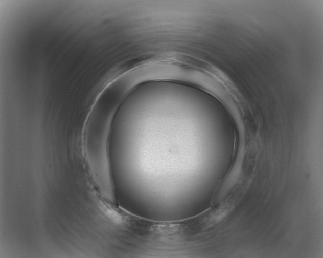 X0000071350858200606231202
