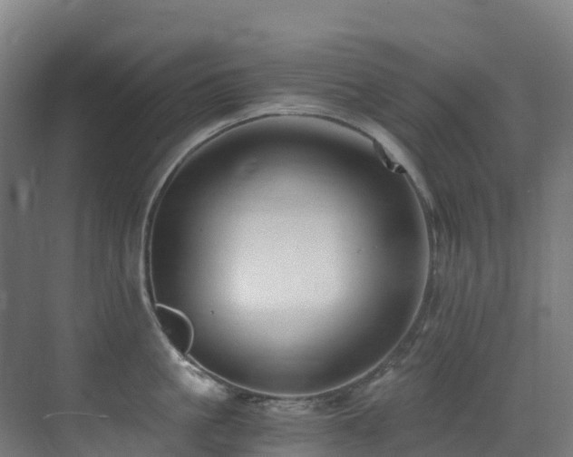X0000071350861200606231202