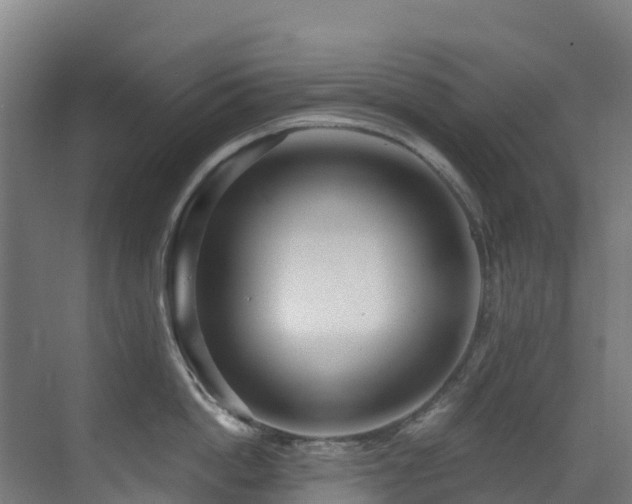 X0000071350862200606231202