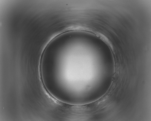 X0000071350863200606231202