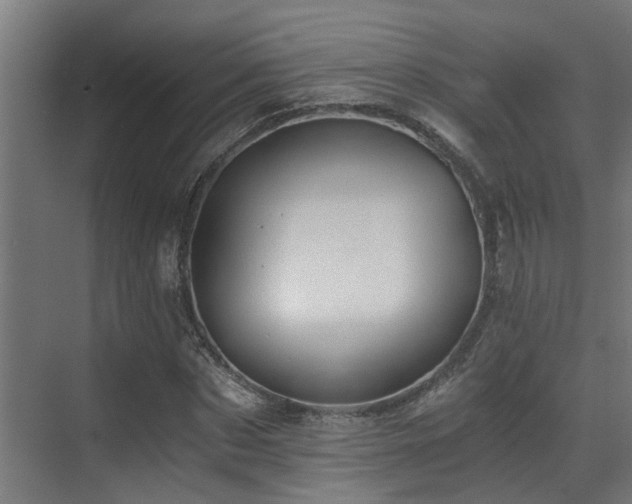 X0000071350873200606231201