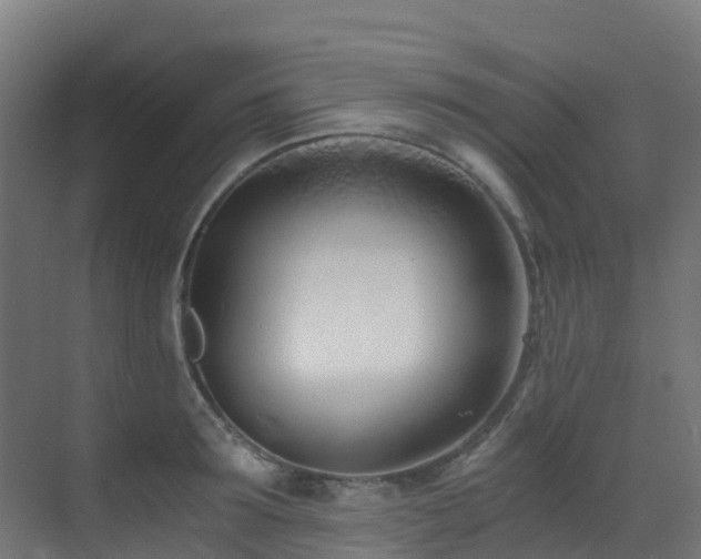 X0000071350899200606231201