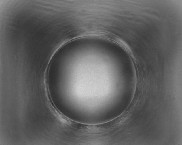 X0000071350907200606231201