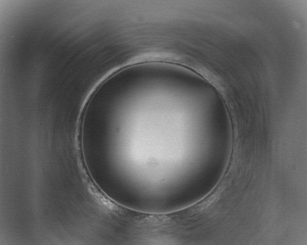 X0000071350912200606231201