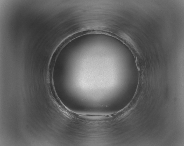 X0000071350924200606231200