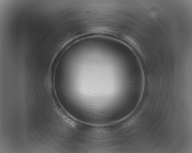 X0000071350931200606231200