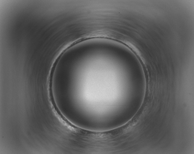 X0000071350949200606231200