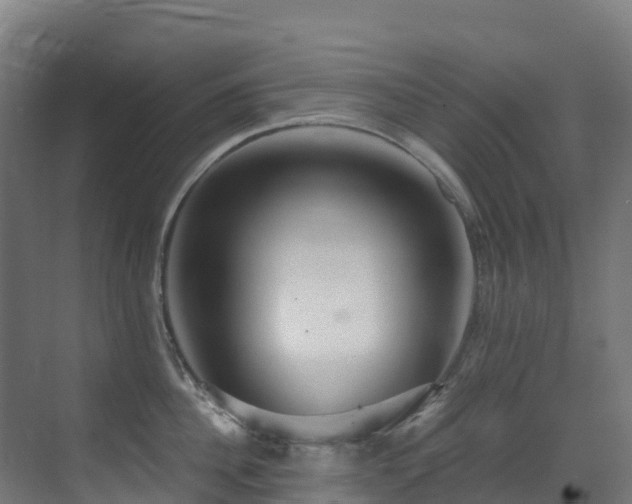 X0000071350956200606231201