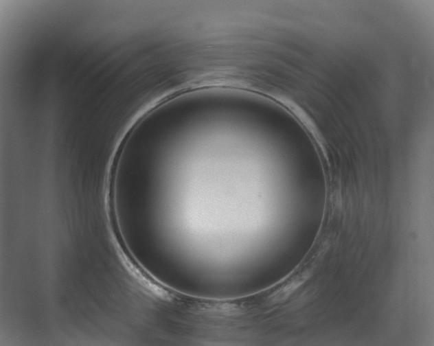 X0000071350957200606231201