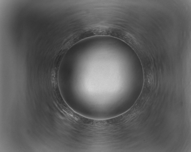 X0000071350964200606231200