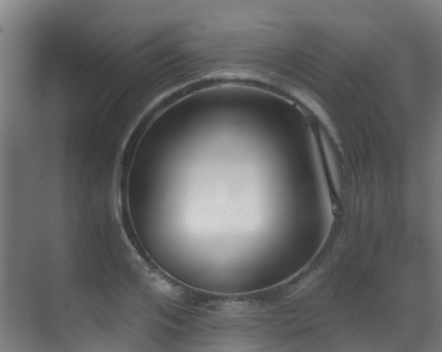 X0000071350984200606231159