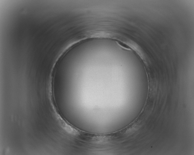 X0000071351000200606231159