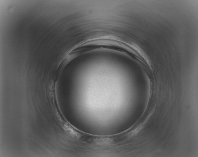 X0000071351001200606231159
