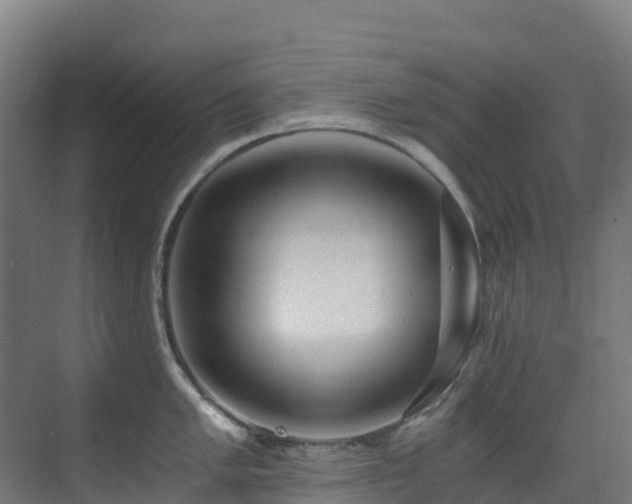 X0000071351005200606231159