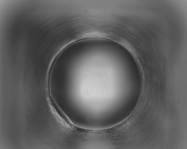 X0000071351008200606231159