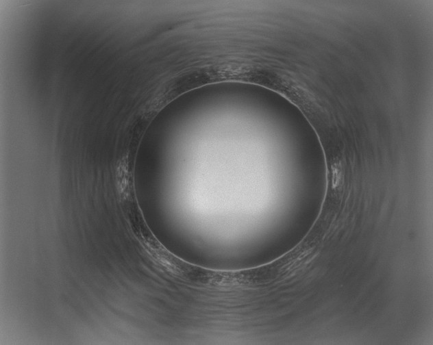 X0000071351011200606231158