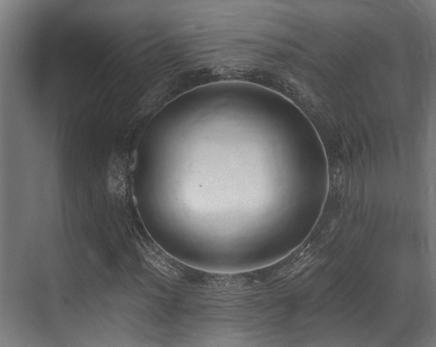 X0000071351012200606231158