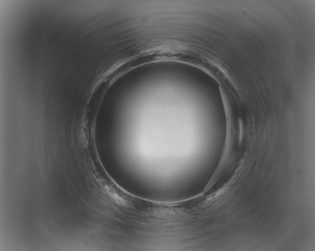 X0000071351018200606231158