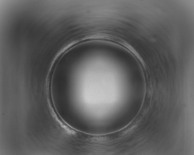 X0000071351053200606231159