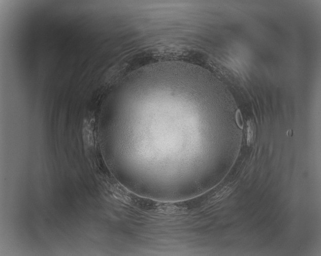 X0000071351059200606231158