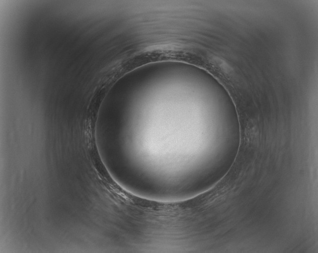 X0000071351062200606231158