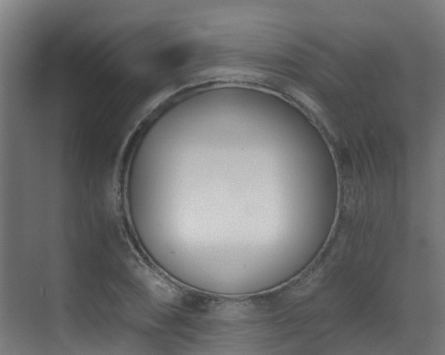 X0000071351074200606231158