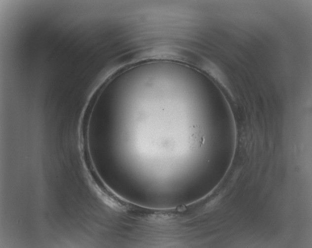 X0000071351082200606231158