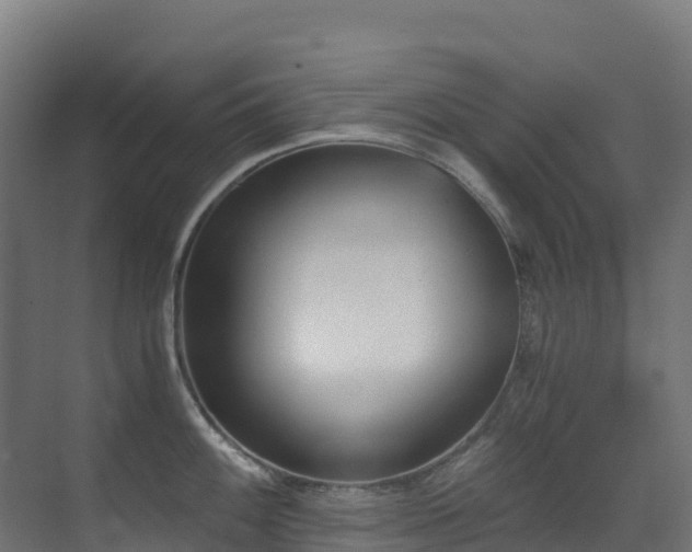 X0000071351100200606231157