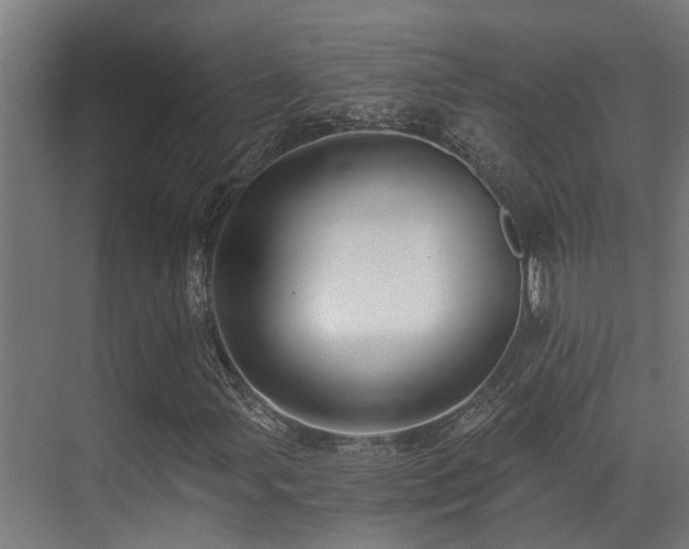 X0000071351107200606231157