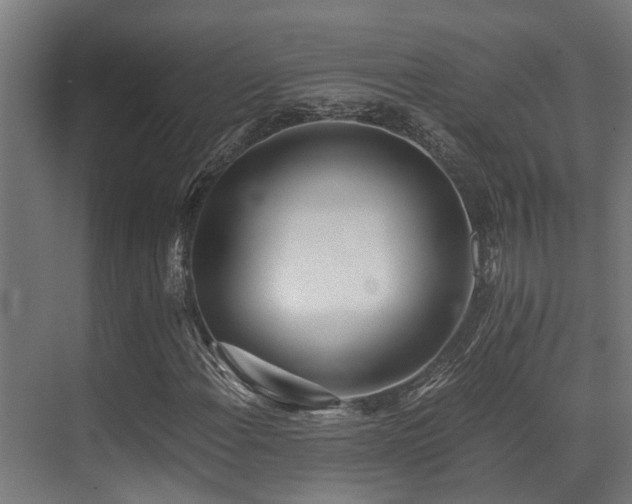 X0000071351108200606231157