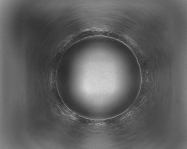 X0000071351110200606231157