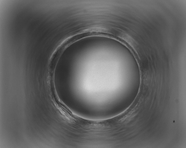 X0000071351115200606231157