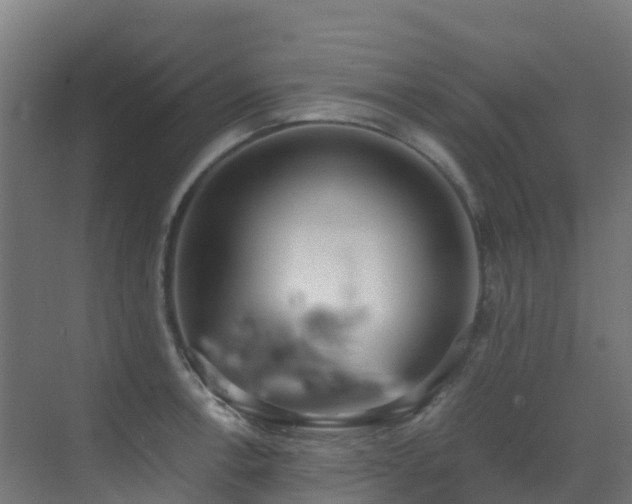 X0000071351138200606231157