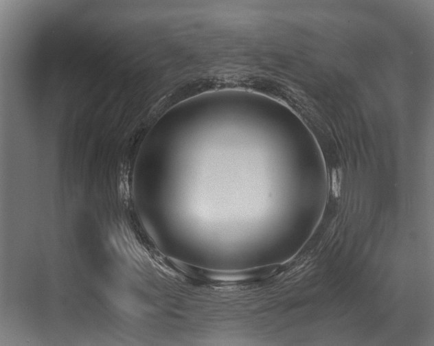 X0000071351155200606231157