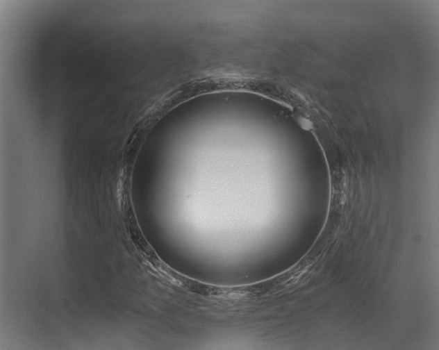 X0000071351157200606231156