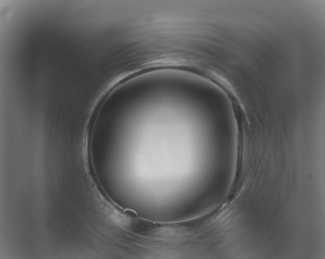 X0000071351179200606231156