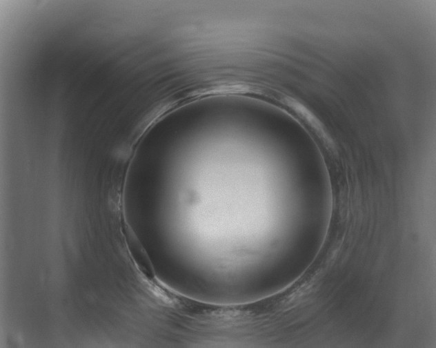 X0000071351193200606231156