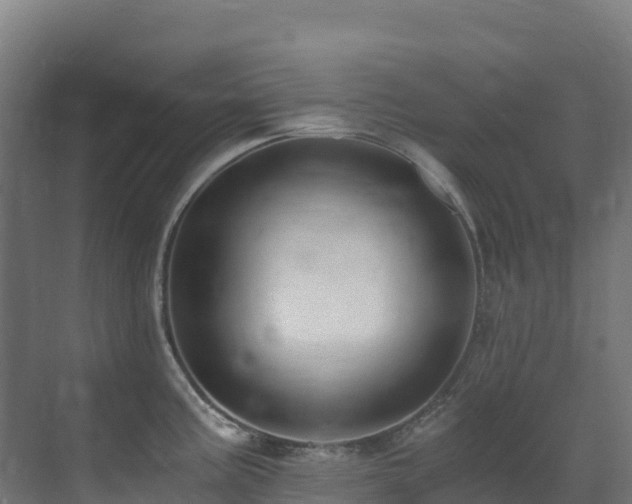 X0000071351195200606231156