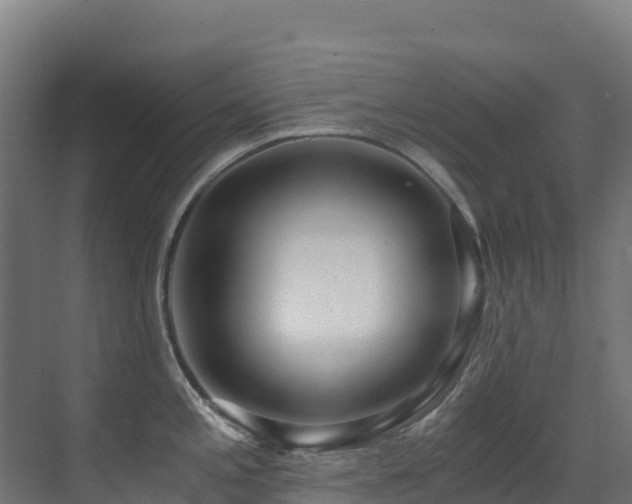 X0000071351197200606231156