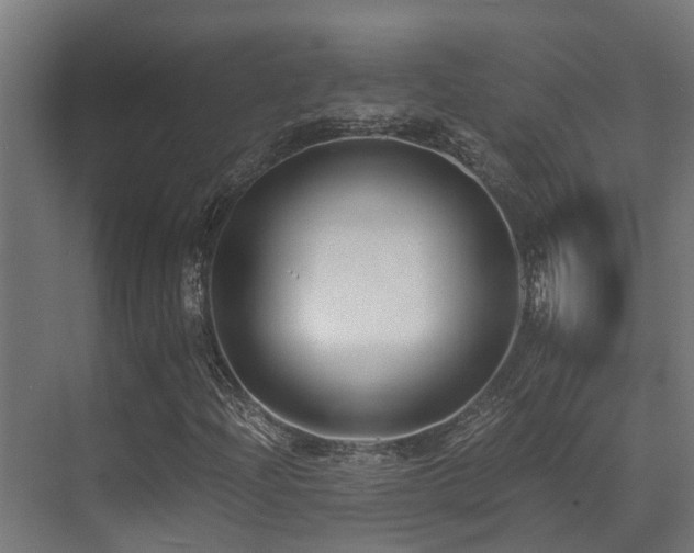X0000071351204200606231155
