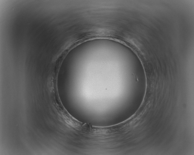 X0000071351211200606231155