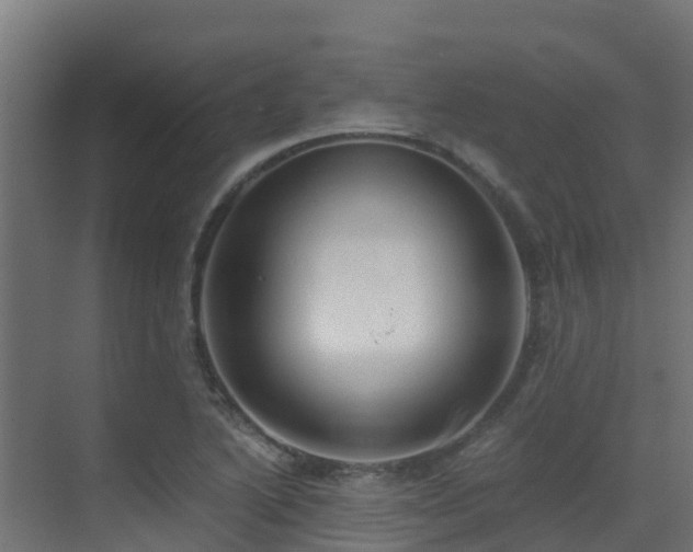 X0000071351222200606231155