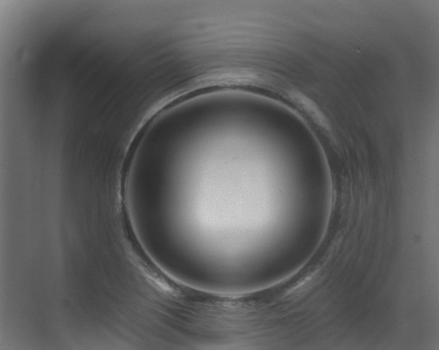 X0000071351226200606231155