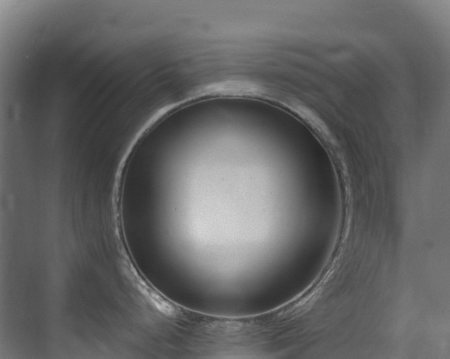 X0000071351248200606231156