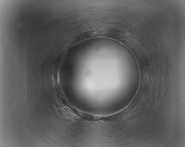 X0000071351250200606231155